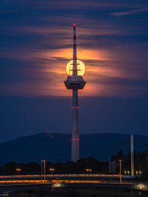 Vollmondaufgang in Mannheim