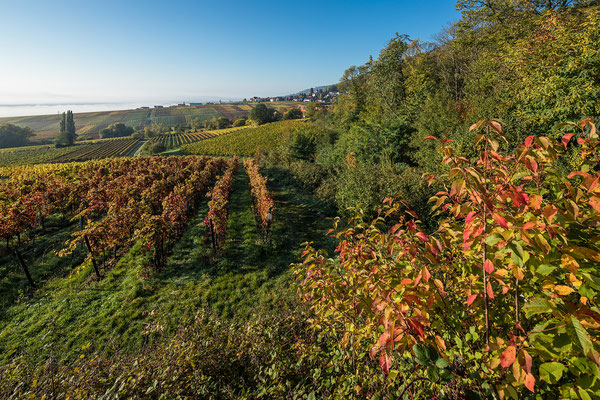 Herbst an der Villa Ludwigshöhe