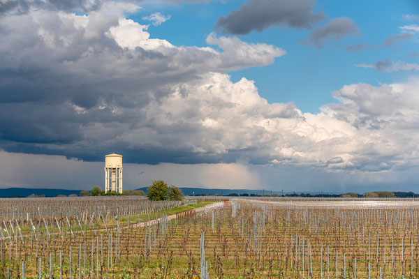 Wetterstimmung bei Duttweiler