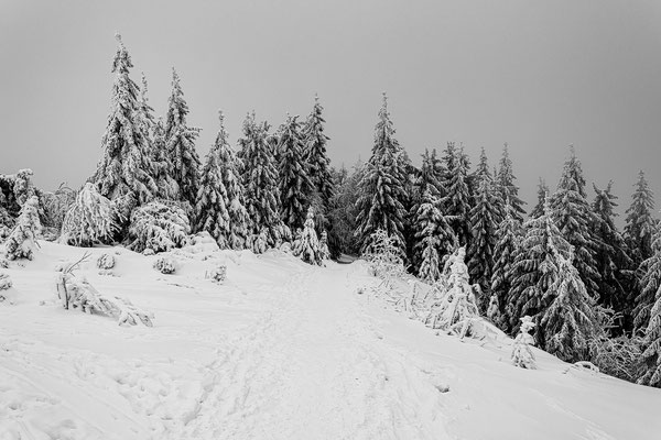 Winter auf der Hornisgrinde