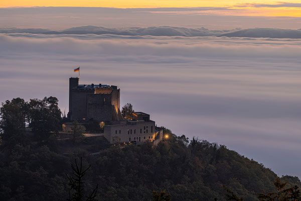 Nebliger Herbstmorgen über dem Hambacher Schloss