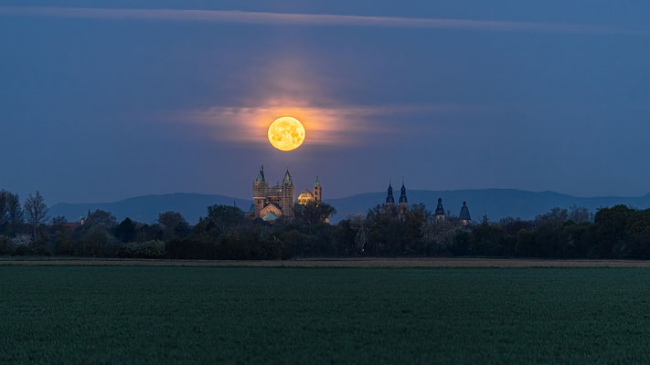 Vollmonduntergang hinter dem Speyerer Dom