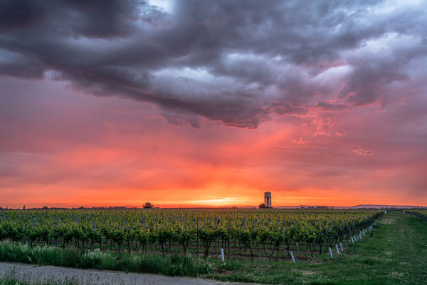 Sonnenaufgang bei Duttweiler