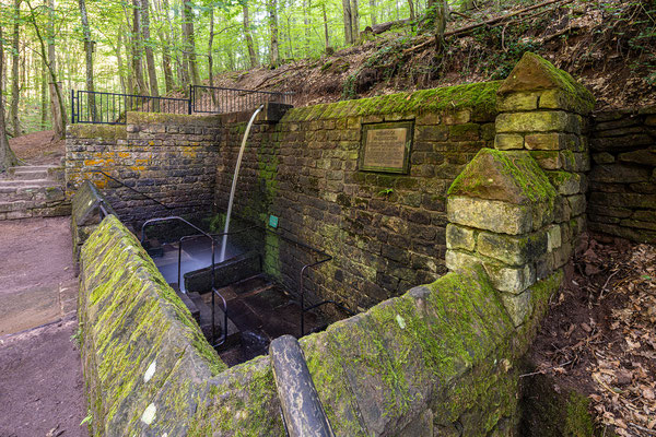 Walddusche bei Frankweiler
