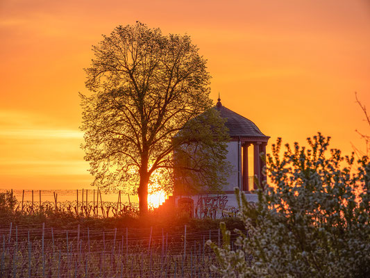 Sonnenaufgang am Deidesheimer Tempel