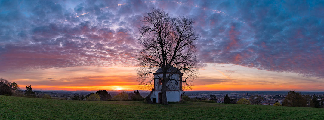 Sonnenaufgang beim Deidesheimer Tempel