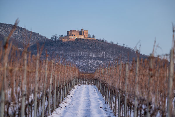 Eiskalter Morgen am Hambacher Schloss