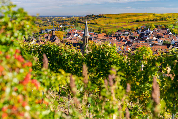 Herbstliche Ausblicke bei Birkweiler