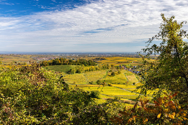 Herbstliche Ausblicke bei Birkweiler