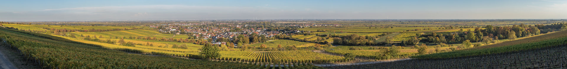 Panoramaaufnahme Deidesheim