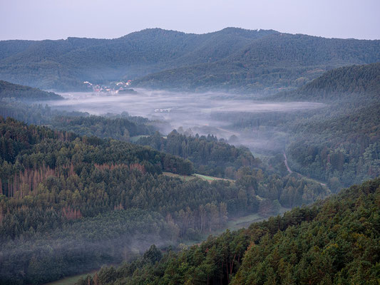 Frühmorgens auf den Geiersteinen