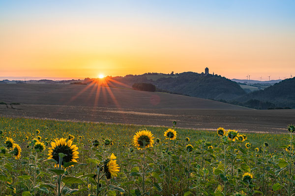 Sonnenaufgang an der Burg Lichtenberg