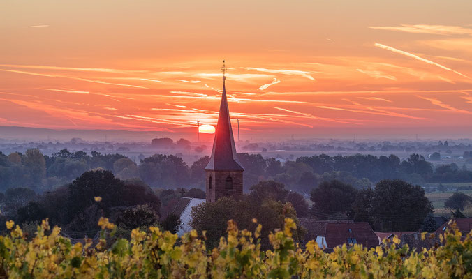 Morgenstimmung in Forst