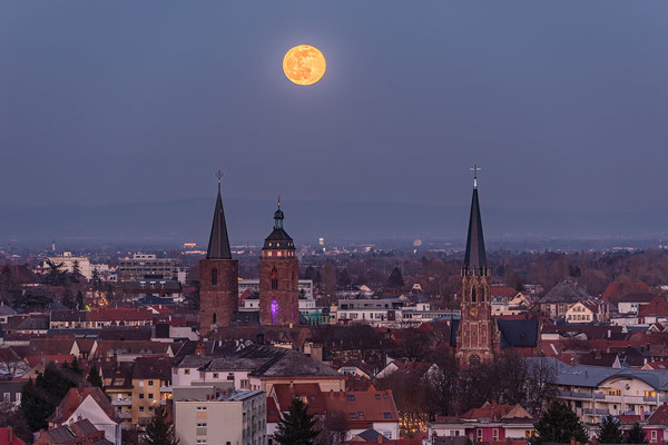 Vollmondaufgang über Neustadt