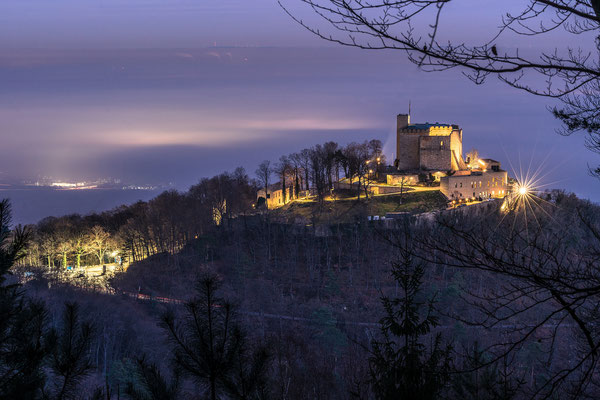 Nebelstimmung am Hambacher Schloss