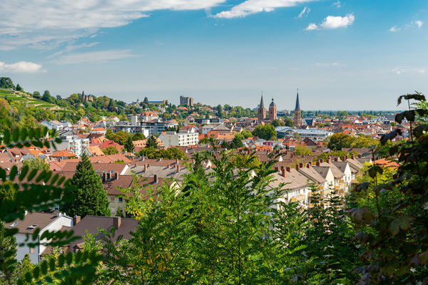 Stadtpanorama von Neustadt
