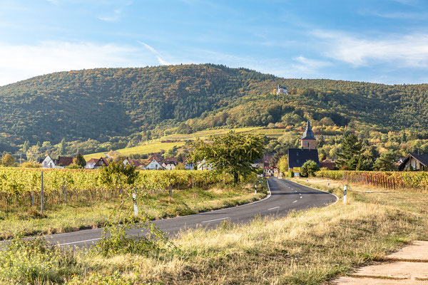 Blick auf Burrweiler