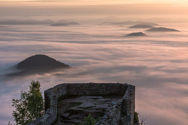 Sonnenaufgang über der nebligen Wegelnburg