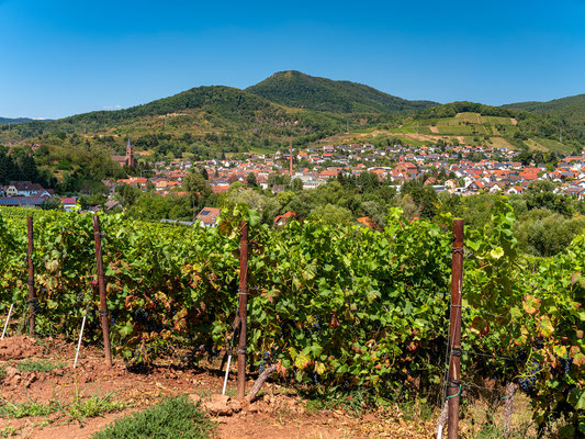 Blick auf Albersweiler