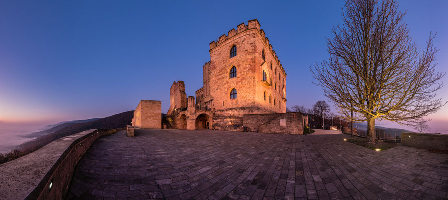 Nebelmorgen am Hambacher Schloss