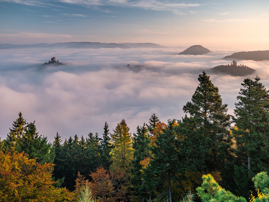 Nebelmorgen am Rehbergturm