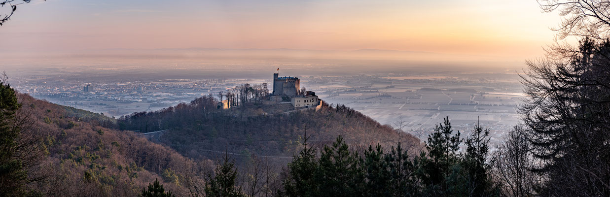 Hambacher Schloss im Morgenlicht