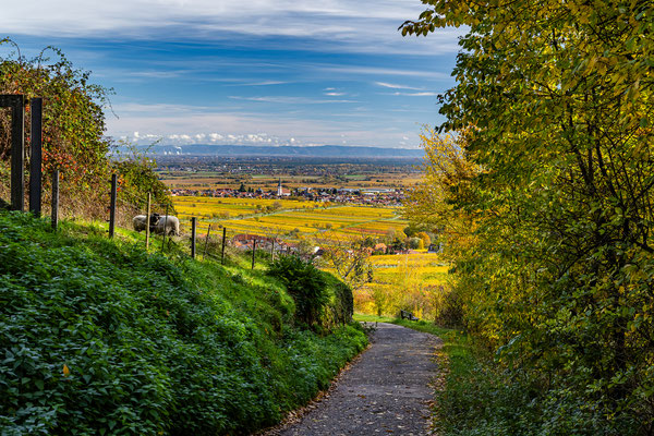Herbststimmung um Sankt Martin