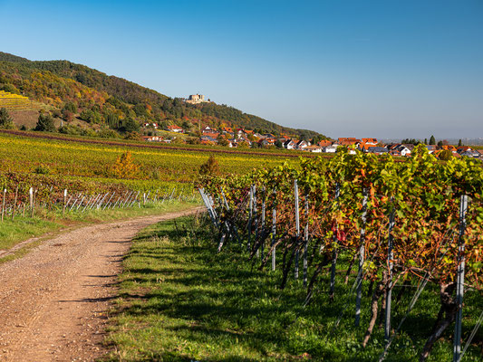 Herbstliche Landschaften bei Sankt Martin