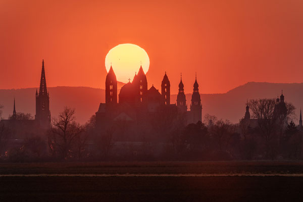 Sonnenuntergang hinter dem Speyerer Dom
