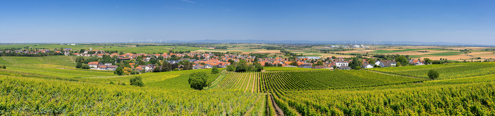 Aussicht auf Bockenheim