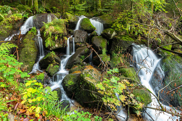 Herbst in der Gertelbachschlucht