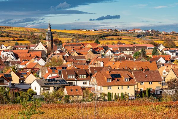 Kallstadt im Herbstkleid