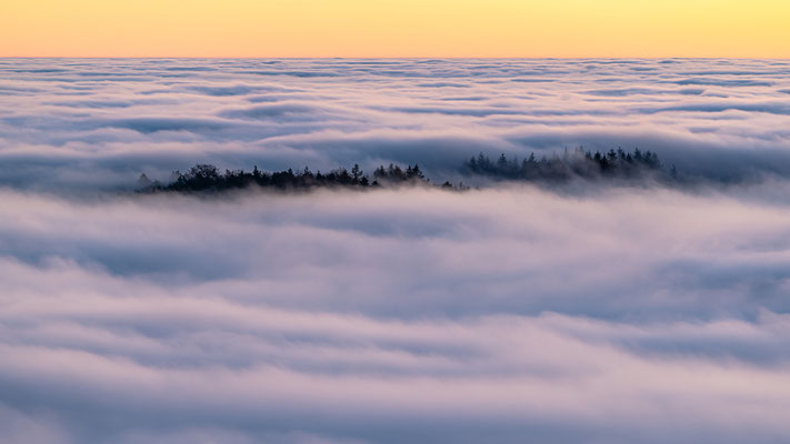 Nebelmeer um den Rehbergturm