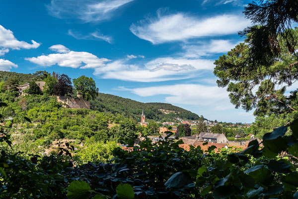 Blick auf Haardt und Burg Winzingen