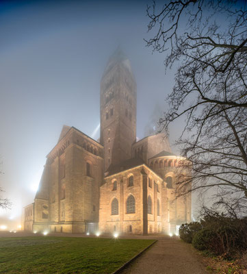 Nebelnacht am Speyerer Dom