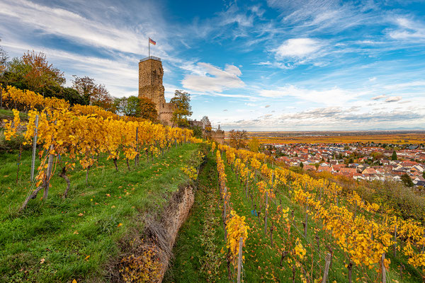 Herbstliche Wachtenburg