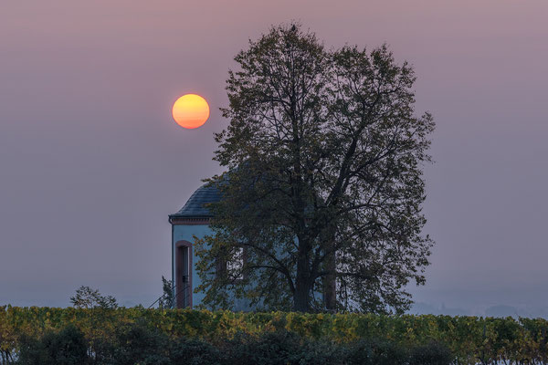 Sonnenaufgang am "Deidesheimer Tempel"
