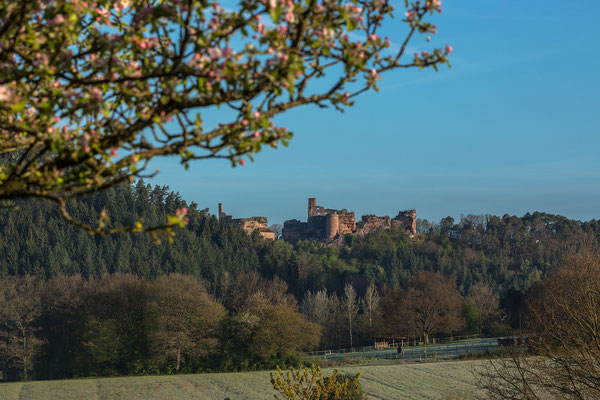 Blick auf die Ruine Altdahn