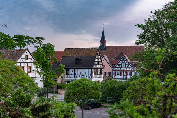 Frühlingsmorgen in Speyer