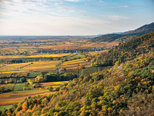 Herbstmorgen am Hambacher Schloss