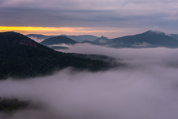 Nebelmorgen auf der Burgruine Lindelbrunn