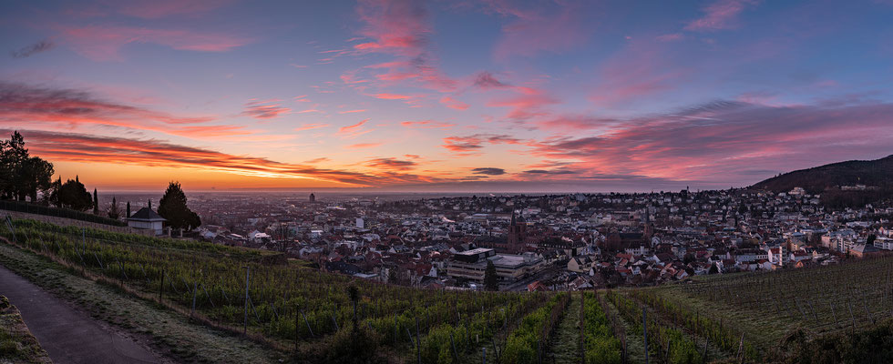 Blaue Stunde über Neustadt