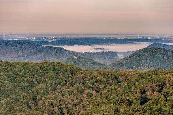 Morgenstimmung am Luitpoldturm