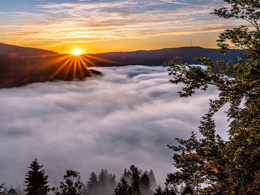 Nebelmorgen über Lambrecht