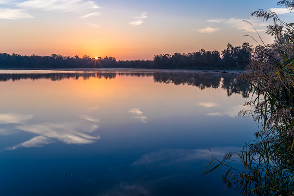 Sonnenaufgang am Lambsheimer Weiher