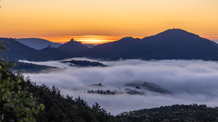 Nebelmorgen am Rötzenfels