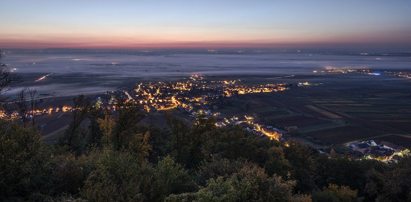 Dünner Frühnebel über der Rheinebene