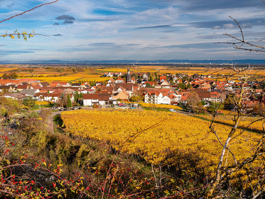 Kallstadt im Herbstkleid