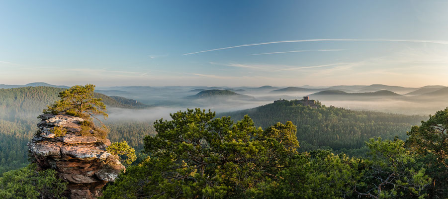 Buchkammerfels im Morgennebel