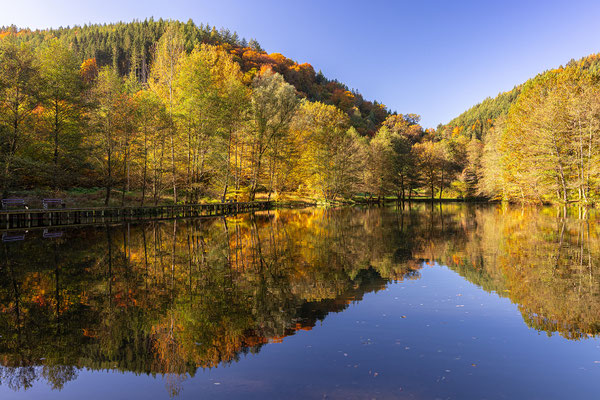 Herbst am Helmbachweiher